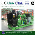 Electric Power CHP Cogenerator 200kW Biogas Gas Generator (Methan)